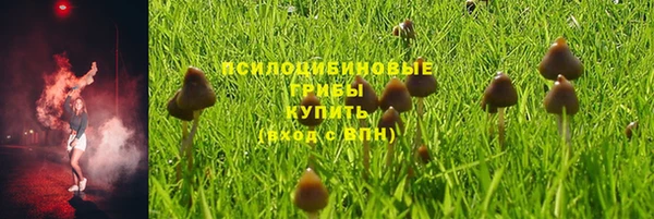 ГАЛЛЮЦИНОГЕННЫЕ ГРИБЫ Волоколамск