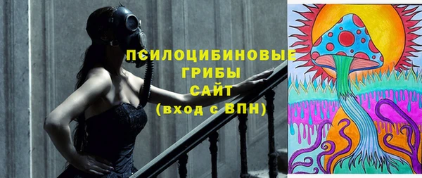 СК Верхний Тагил