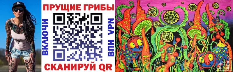 Галлюциногенные грибы Psilocybine cubensis  OMG ссылка  Дорогобуж 